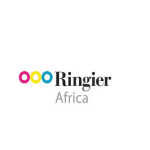 ringier canvas (2)